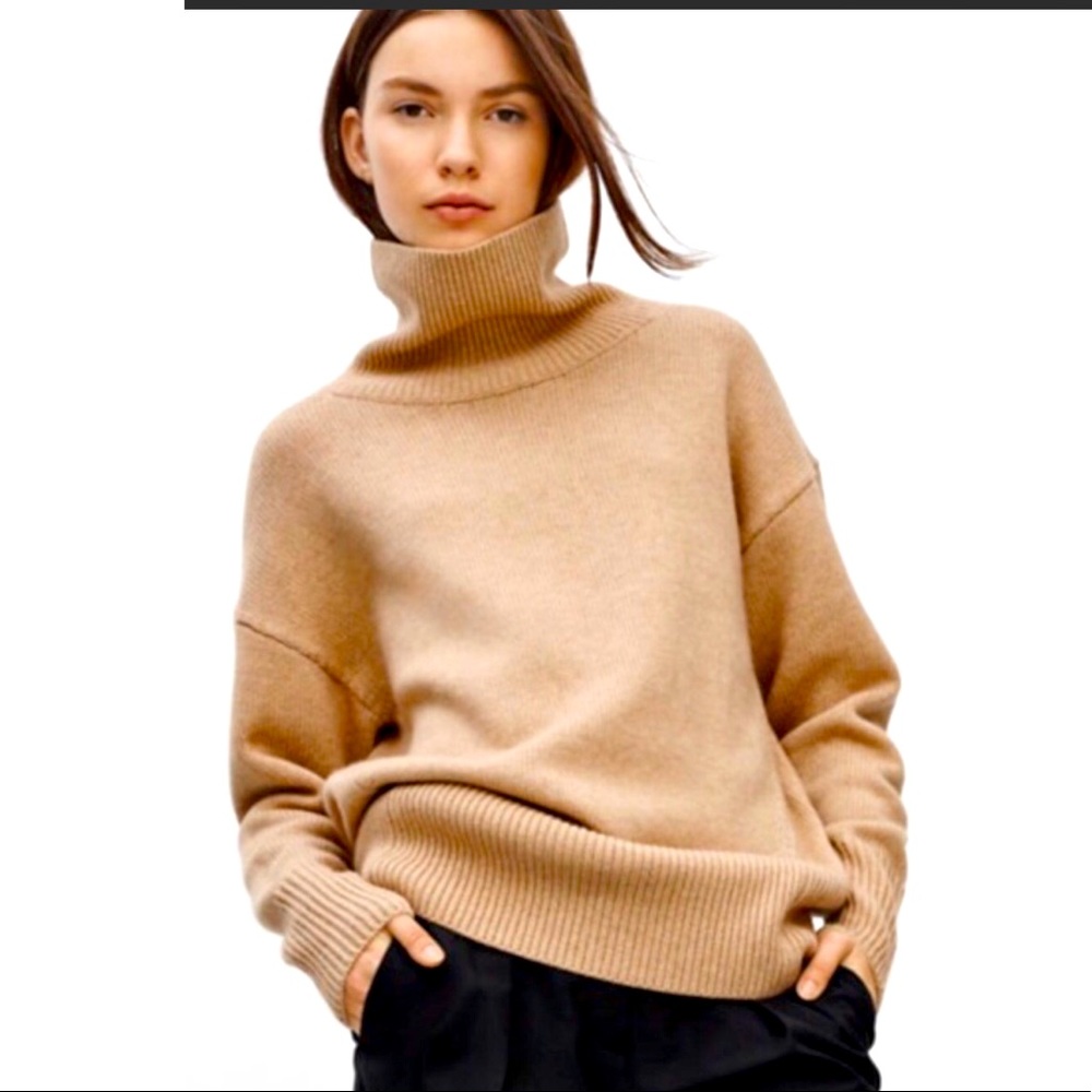 Aritzia Babaton Nicolas Turtleneck Sweater